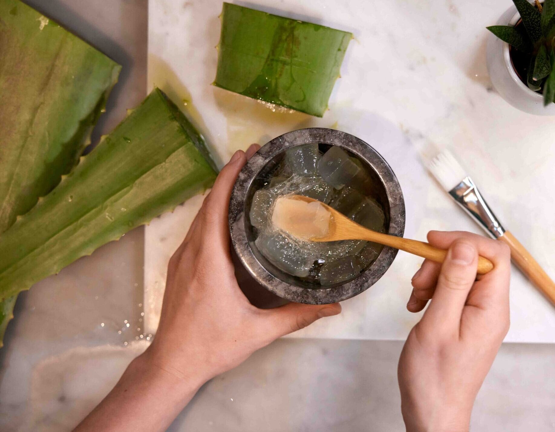 Aloe Vera Body Mask