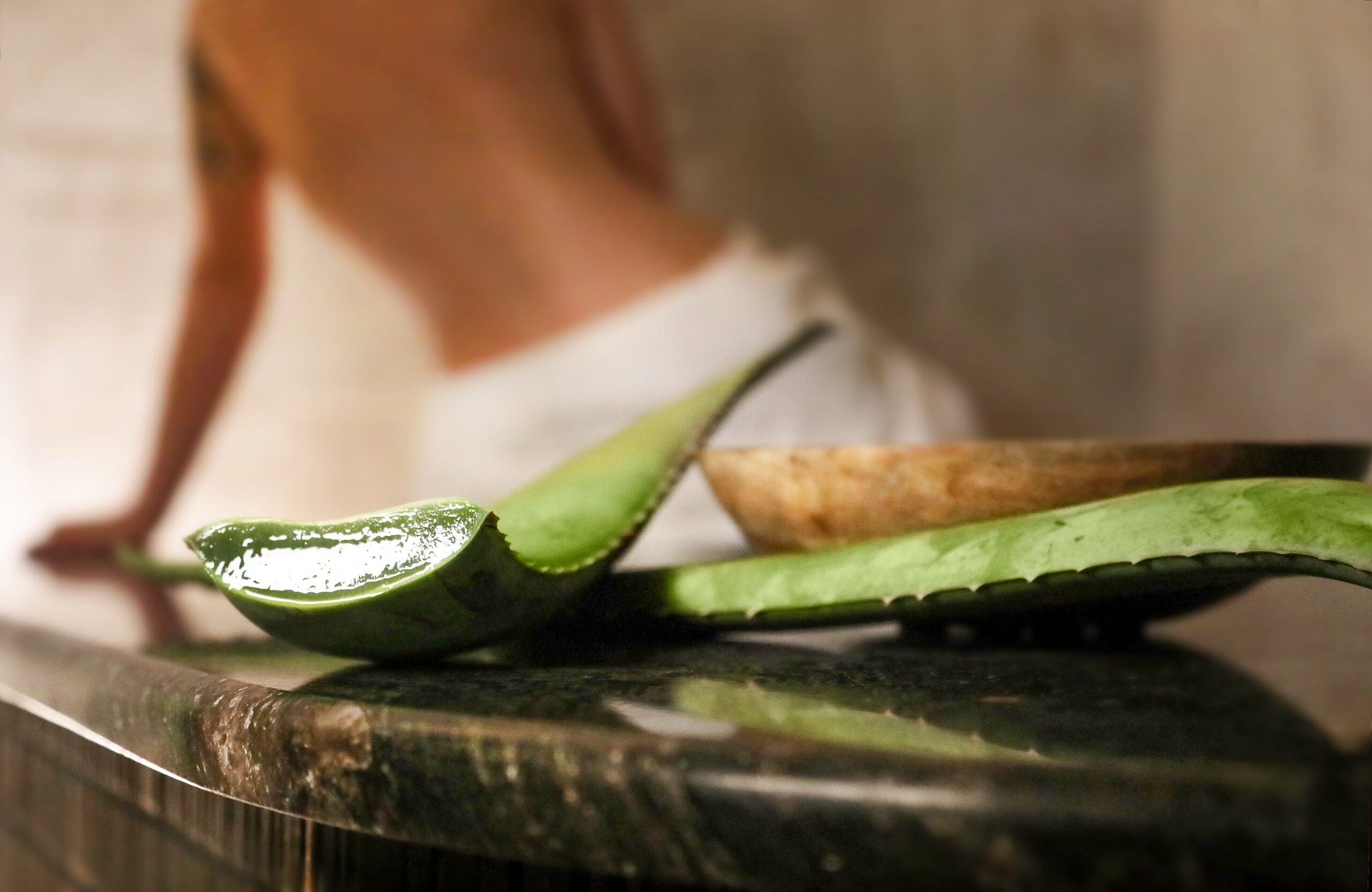 Aloe Vera Body Mask