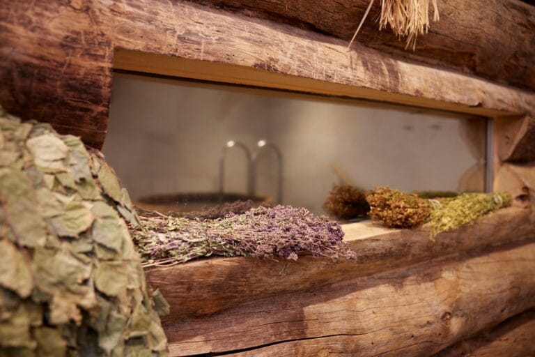 Discover Our Thermal Spa Experience at Banya Banya No.1